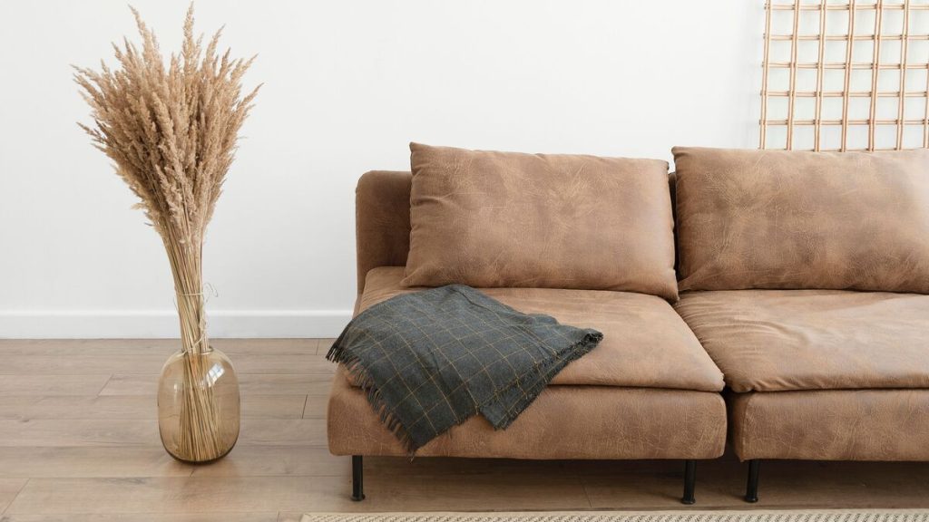 Tips for cleaning the leather couch